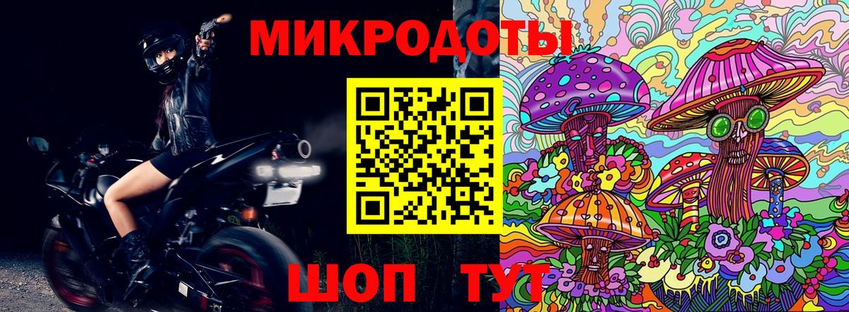 Галлюциногенные грибы Psilocybine cubensis Калуга